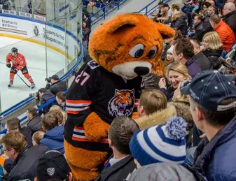 VIP ложи билеты ХК Амур Платинум Арена